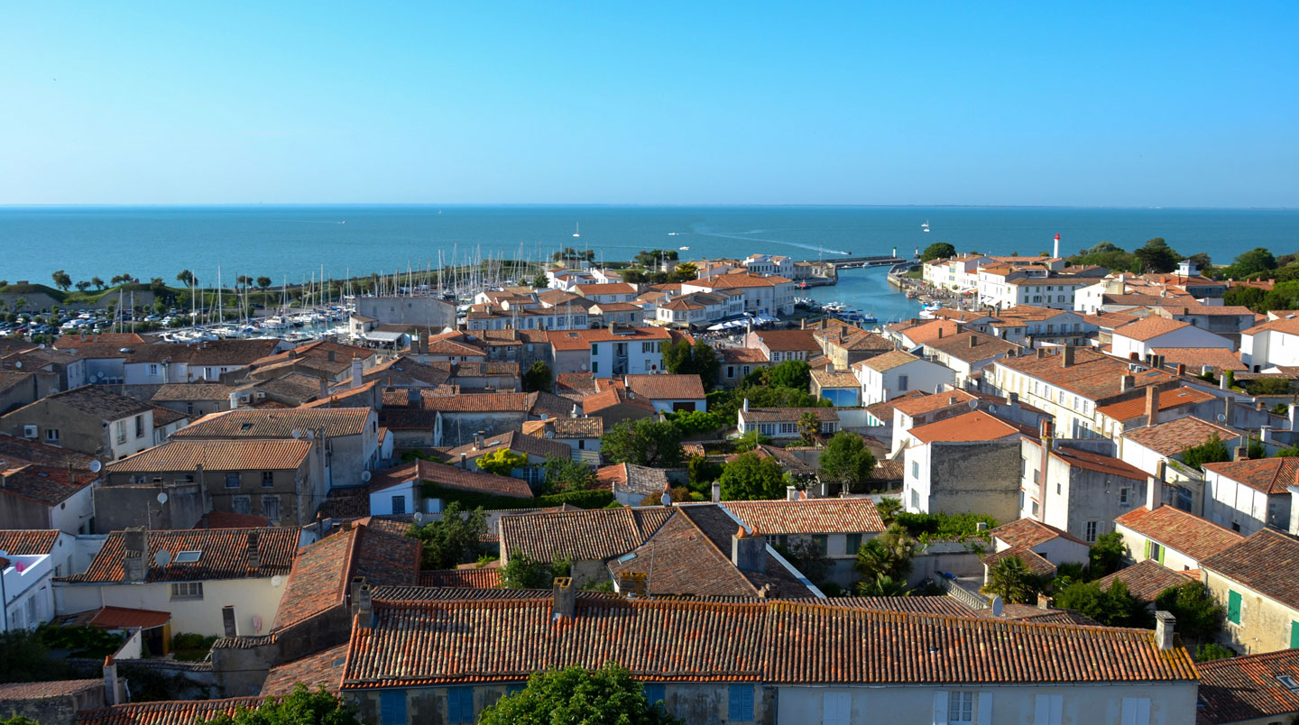 Picturesque alleyway in Saint-Martin-de-Ré featuring traditional white houses with green shutters.